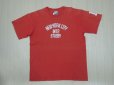 画像1: 〜00's stussy Tシャツ／USA製／L (1)