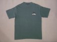 画像2: 80's 黒タグ stussy Tシャツ (2)