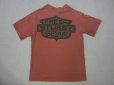 画像1: 80's 黒タグstussy 半袖Tシャツ (1)